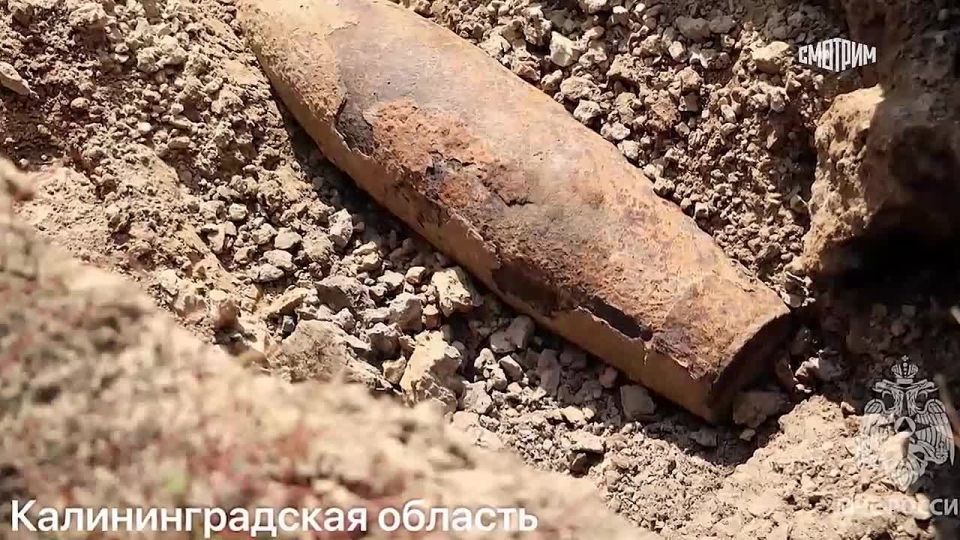Сотрудники МЧС обезвредили боеприпасы времен Великой Отечественной войны, сообщили в ведомстве