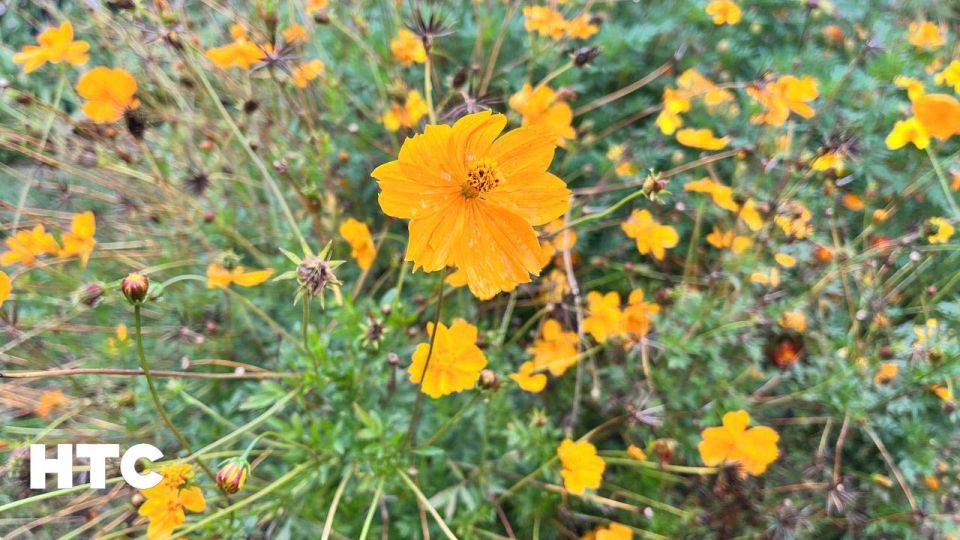 #���_�����. ������� ����� � ��������� �������� ������ �������� ���� �����������? ���������� ���� � ������������ ��� � ���