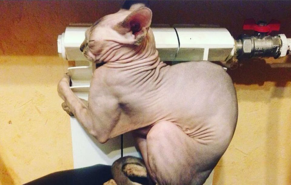 ��� �������, ���� ���� �������? ����������� � ����� ��������������� �� ���������