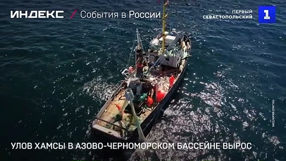 Общий объем добычи российских рыбаков превысил 3,8 млн тонн – Росрыболовство