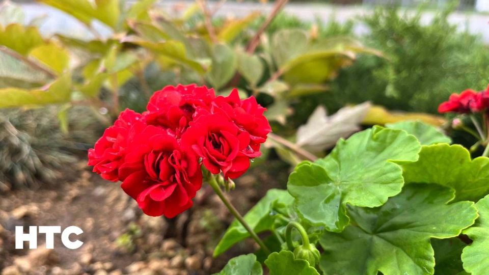 #���_�����. ������� ����� � ��������� �������� ������ �������� ���� �����������? ���������� ���� � ������������ ��� � ���