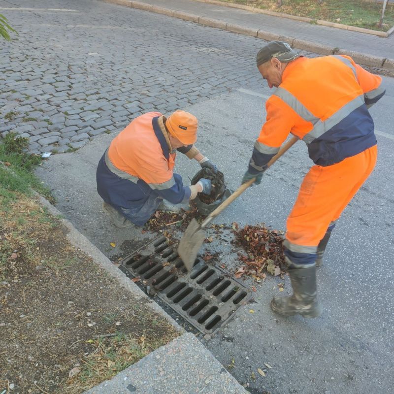 ���������: ������� �������. ������� ���� �������� �����������