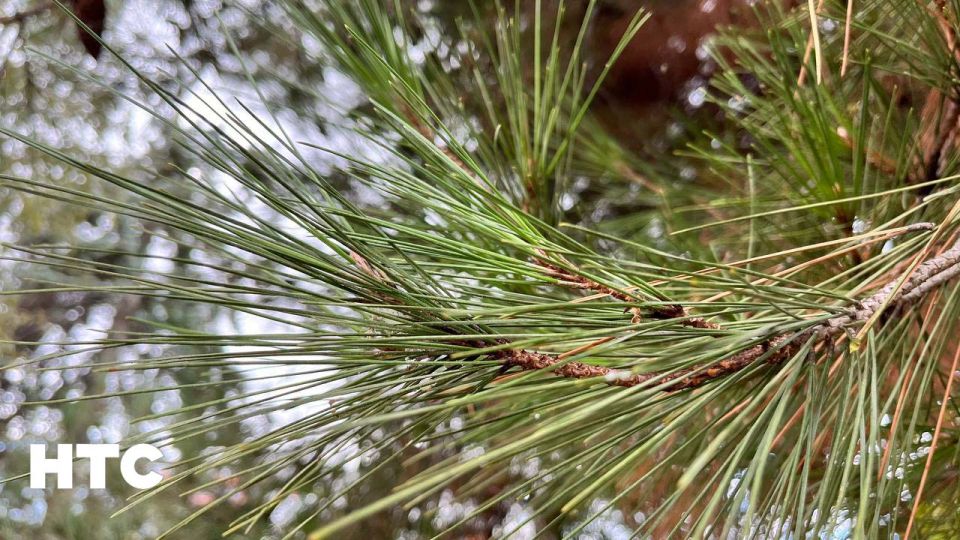 #���_�����. ������� ����� � ��������� �������� ������ �������� ���� �����������? ���������� ���� � ������������ ��� � ���