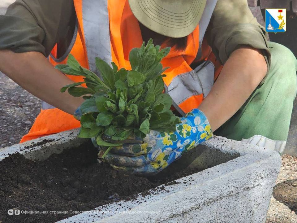 Обновляем скверы. Специалисты «Парков и скверов» приступили к осенним работам на Северной стороне, — начали со сквера памятника Славы воинов 2-й гвардейской армии Обновляем скверы. Специалисты «Парков и скверов» приступили к осенним работам на Северной стороне, — начали со сквера памятника Славы воинов 2-й гвардейской армии