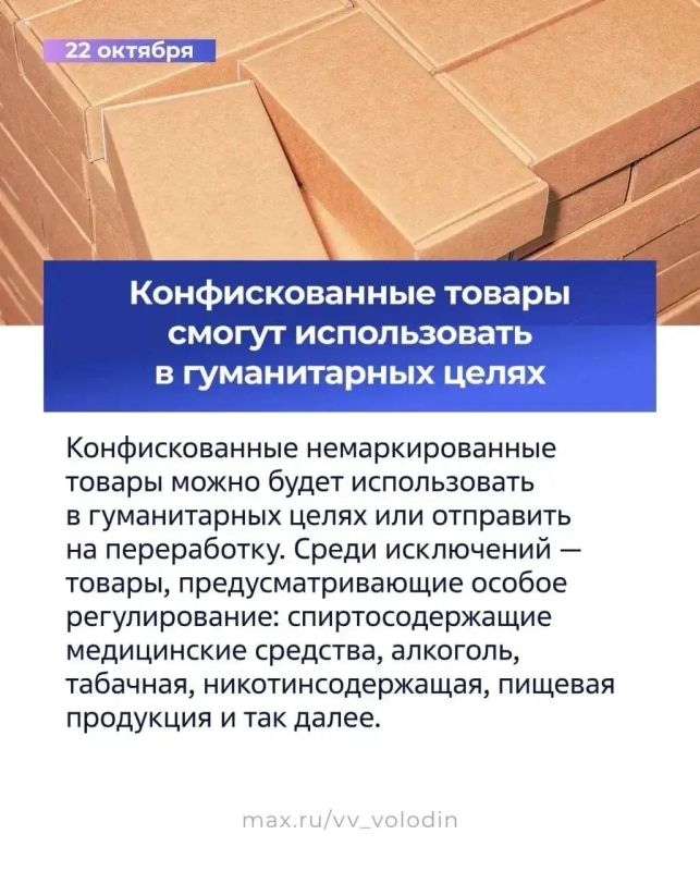 �������� ������: ����� ������ �������� � ���� � ������� 2025 ����