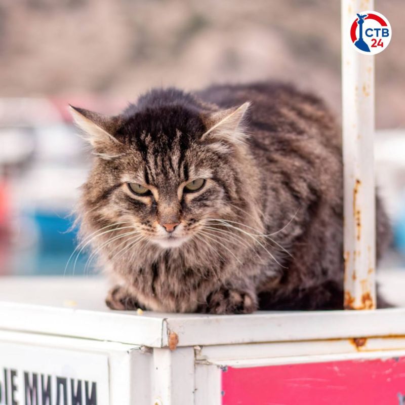 ������, 4 �������, � ����������� ����� ����� ��������� ������� �������