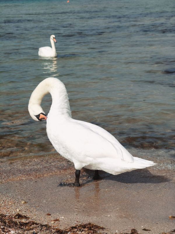 ���� ������ �������!. ������� ����� � ��� �������