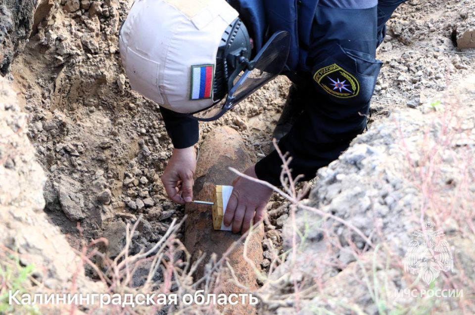 ���������� ��� ������ ����������� ������� ������� ������ ������� ������������� �����