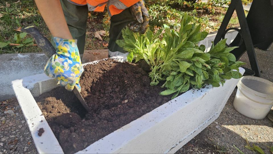 ����������� ������� � ������� ���������� � ������� ������ � �������� � ������ ��������� ����� ������ 2-� ����������� ����� � �� ��������� �������� ����� ���� � 1 �� ����� �����������