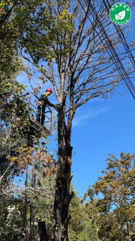 �� ����� ������� ������������� ��������� ������