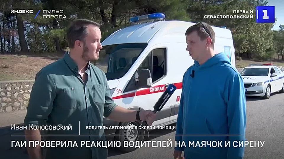 Скорая помощь с необычными пассажирами промчалась по улицам Севастополя