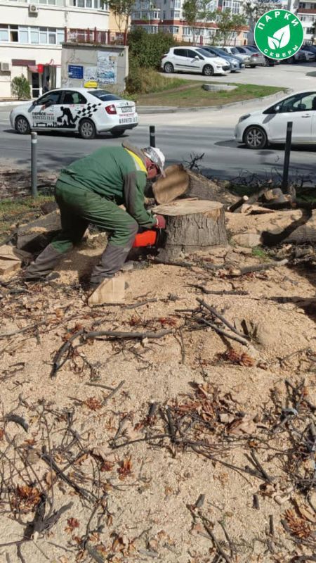 �� ����� ������� ������������� ��������� ������