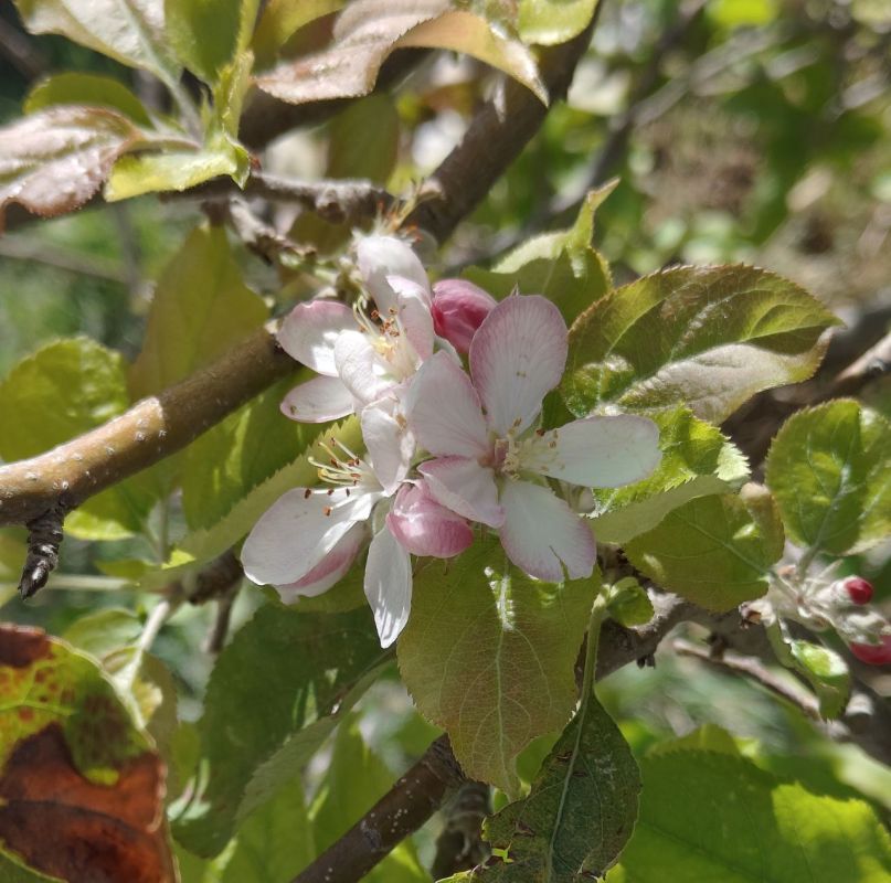 �������? ��� �� �������! ������� �������� ����������� �� ����