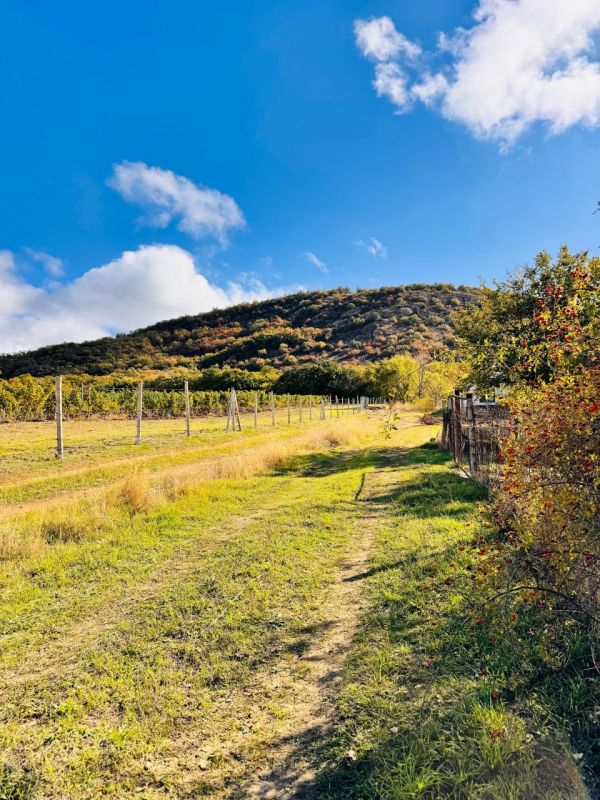 Илья Пестерников: В Севастополе стоит прекрасная осенняя погода, которая радует яркими красками и свежестью воздуха Илья Пестерников: В Севастополе стоит прекрасная осенняя погода, которая радует яркими красками и свежестью воздуха