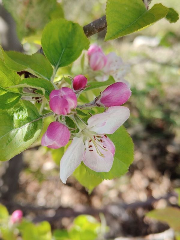 �������? ��� �� �������! ������� �������� ����������� �� ����