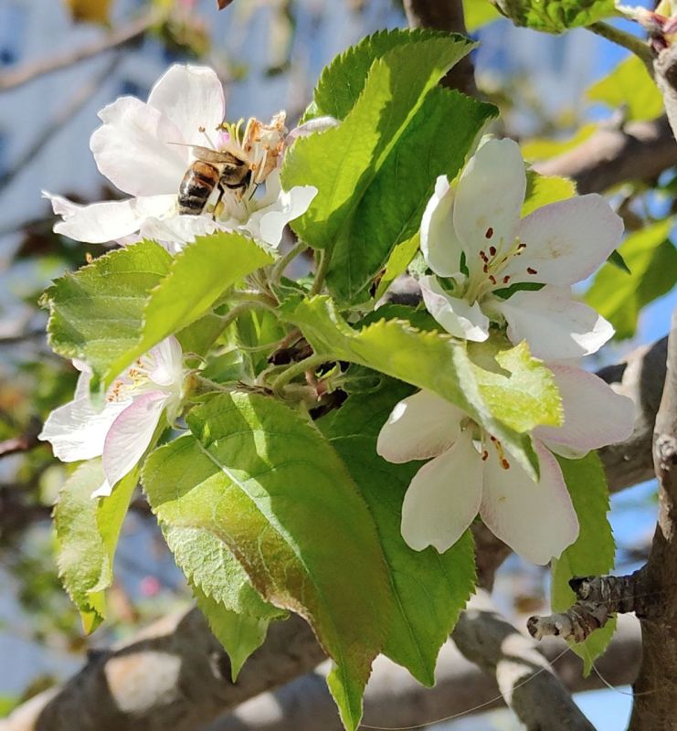 �������? ��� �� �������! ������� �������� ����������� �� ����