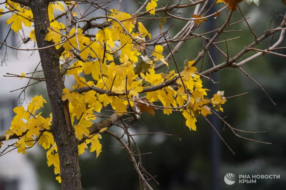 Прогноз погоды в Крыму на воскресенье