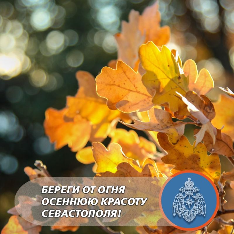 В Севастополе отменён особый противопожарный режим