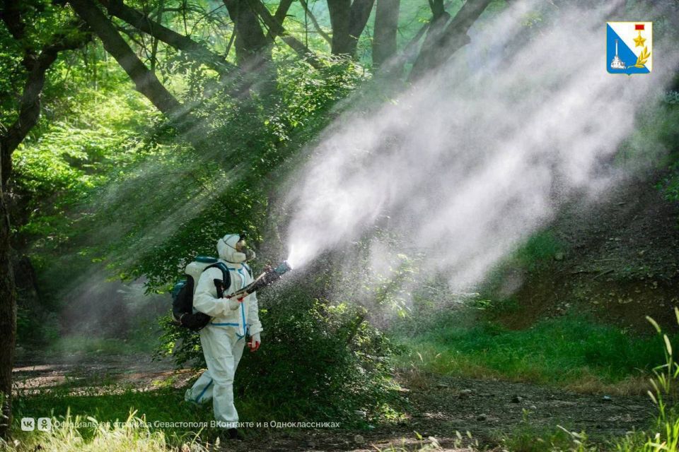В ночь на 6, 7 и 9 октября с 22:00 до 06:00 в Севастополе будет проводиться обработка зеленых насаждений от вредителей по адресам: сквер Астана Кесаева, зона между гостиницей «Крым» и стадионом «Чайка», сквер Севастопольских...