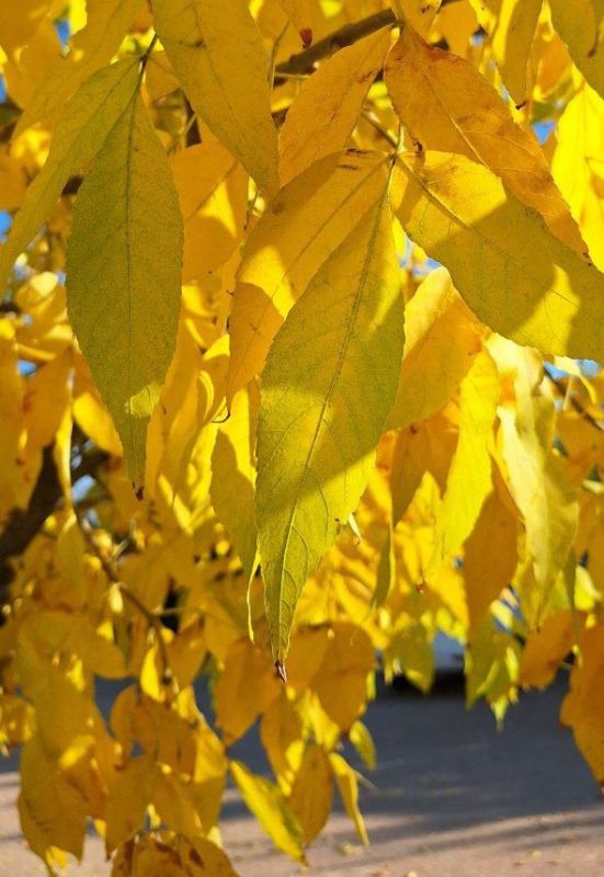 Всем доброго начала недели! Бодрости и отличного настроения!