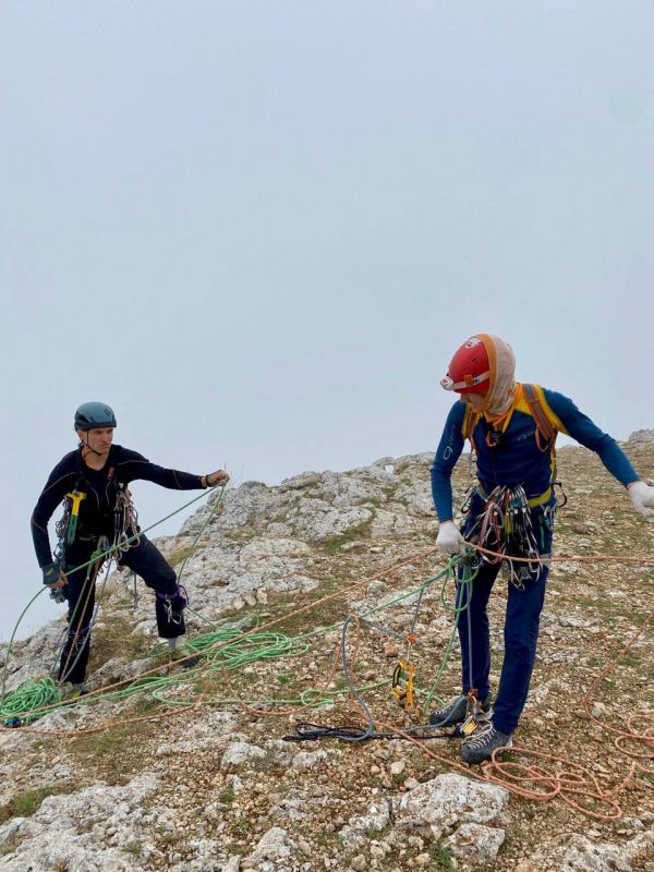 � ����������� ���������� �������� ���� ����� ������ �� ���������� � �������� ������