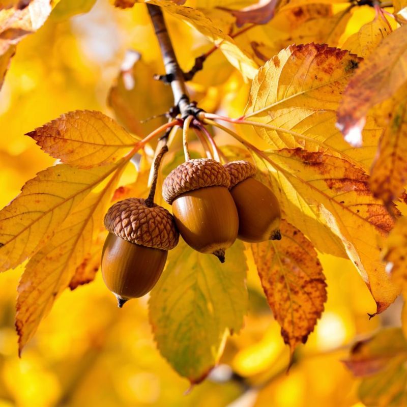 Прогноз погоды в Крыму на 6 октября