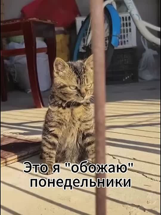 Прогноз магнитных бурь на неделю с 6 по 12 октября