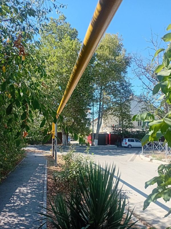 � ������ ���������� � ������-������� ������� �� 2025-2026 ���