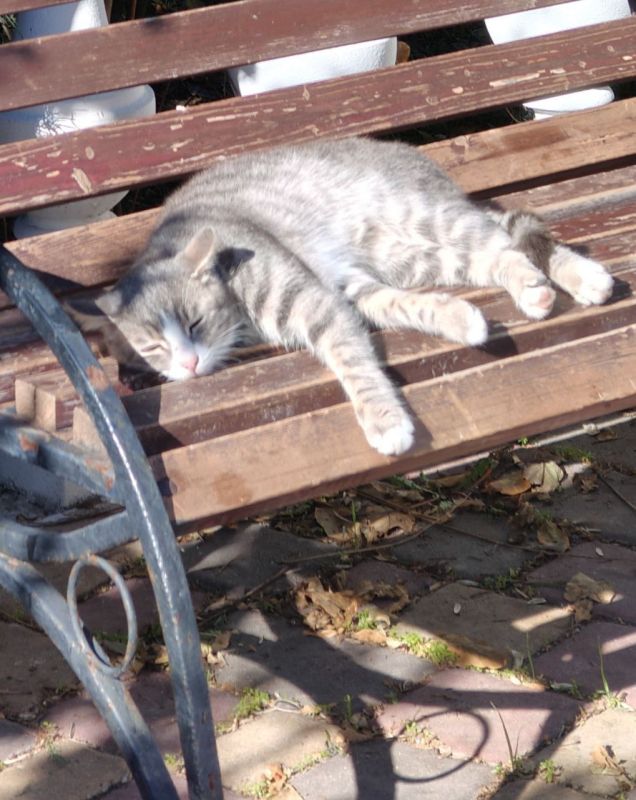 Доброго вторника, друзья!. В Севастополе без существенных осадков