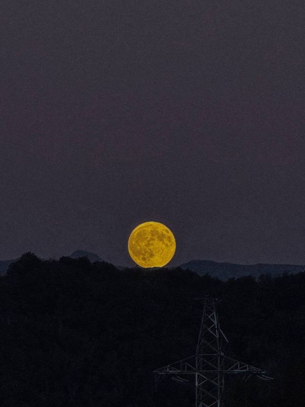 ������ ��������� ����������: �������� ������ ������������!