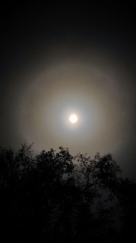 ������ ������ ������� ������ ������� ������ ������� ����������