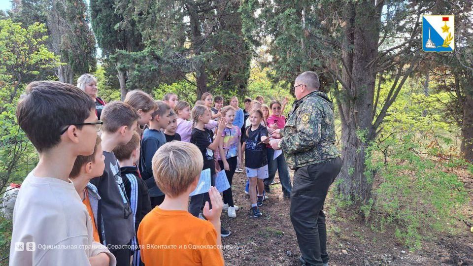 Защищаем леса. В Мекензиевском участковом лесничестве прошел совместный рейд МЧС, МВД и казачества Защищаем леса. В Мекензиевском участковом лесничестве прошел совместный рейд МЧС, МВД и казачества