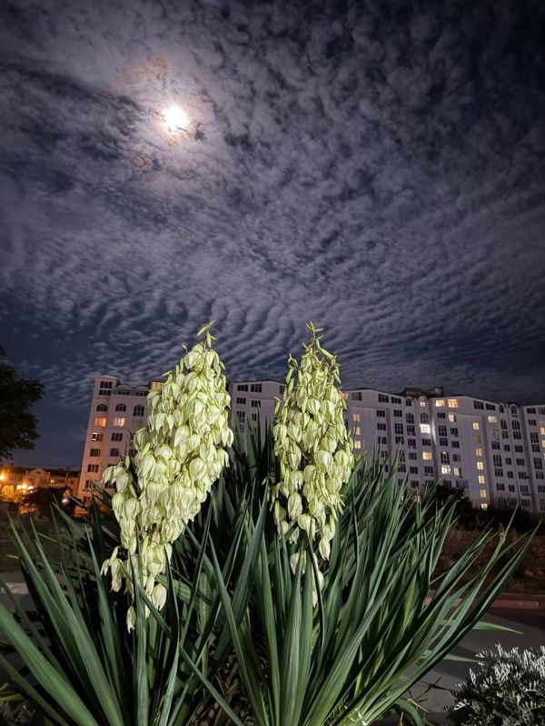 �������� ������� ����� ���� ������������� � ������ ������ �������� ����� ��������� ������� ����� � �����