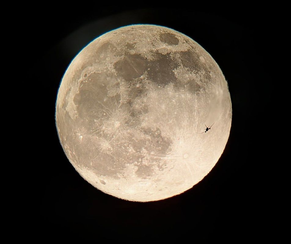 �������� �����: �������� ���������� ������ �� ����