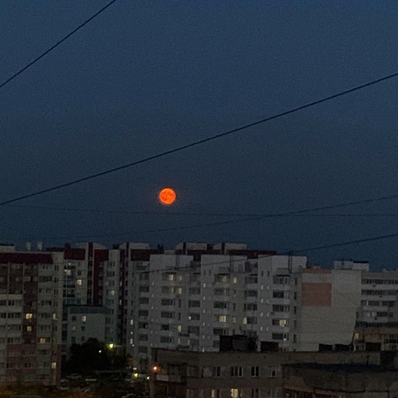 �������� �����: �������� ���������� ������ �� ����