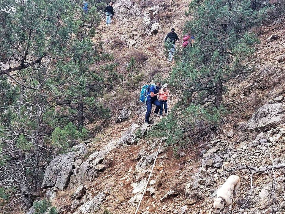 ��������������� ��������� ������������ ����� � ������ �� ������� �������