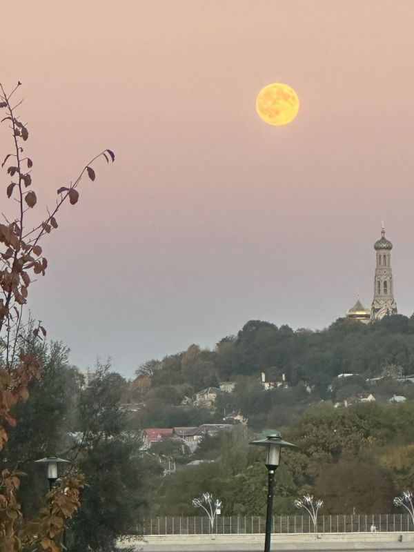 �������� �����: �������� ���������� ������ �� ����