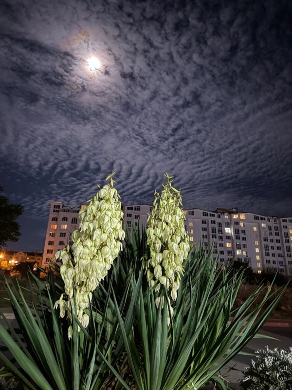 ������ ������ ������� ������ ������� ������ ������� ����������