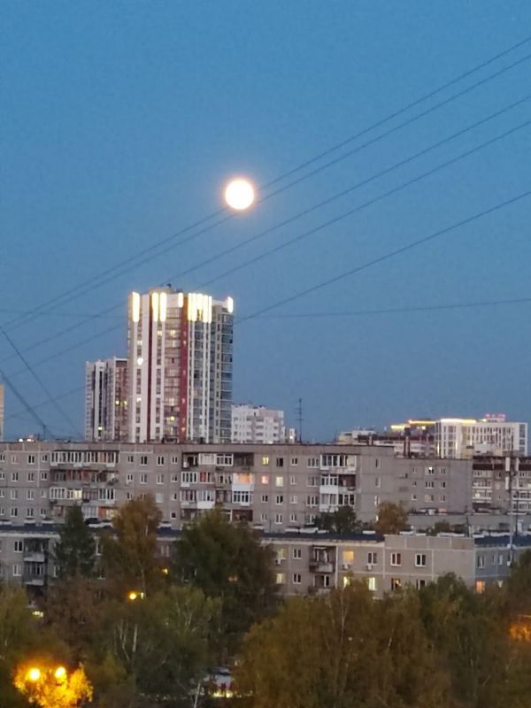 �������� �����: �������� ���������� ������ �� ����