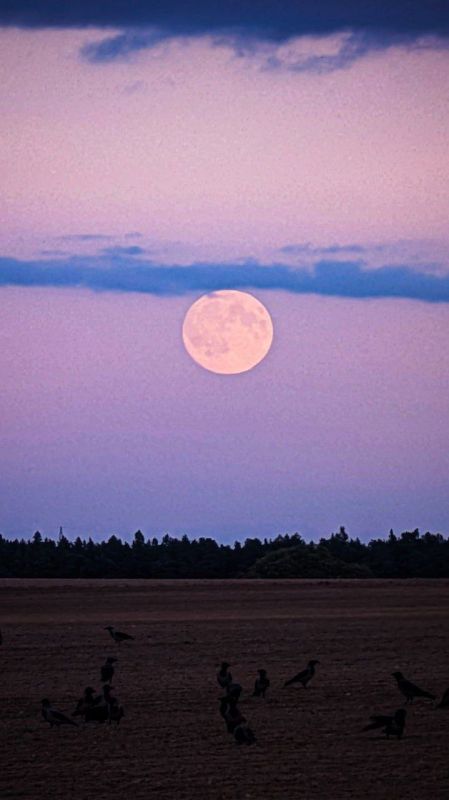 �������� �����: �������� ���������� ������ �� ����