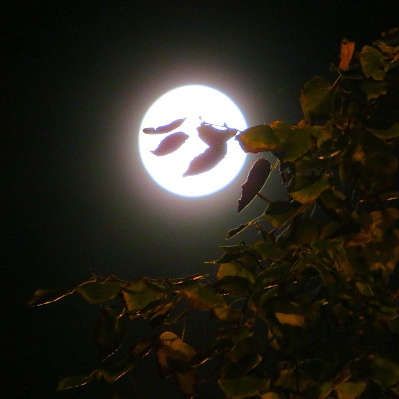 ������ ������ ������� ������ ������� ������ ������� ����������