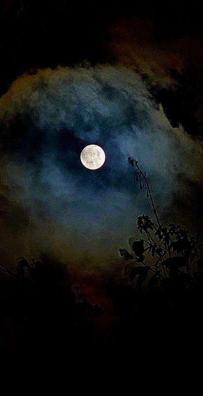 �������� ������� ����� ���� ������������� � ������ ������ �������� ����� ��������� ������� ����� � �����