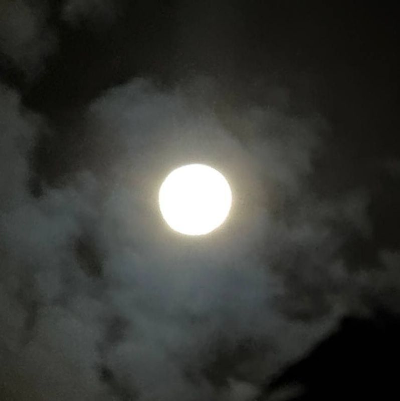 �������� �����: �������� ���������� ������ �� ����