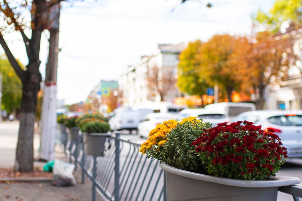 � ����������� ���������� ������� ����� � ������� �����