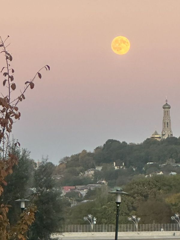 ������ ������ ������� ������ ������� ������ ������� ����������