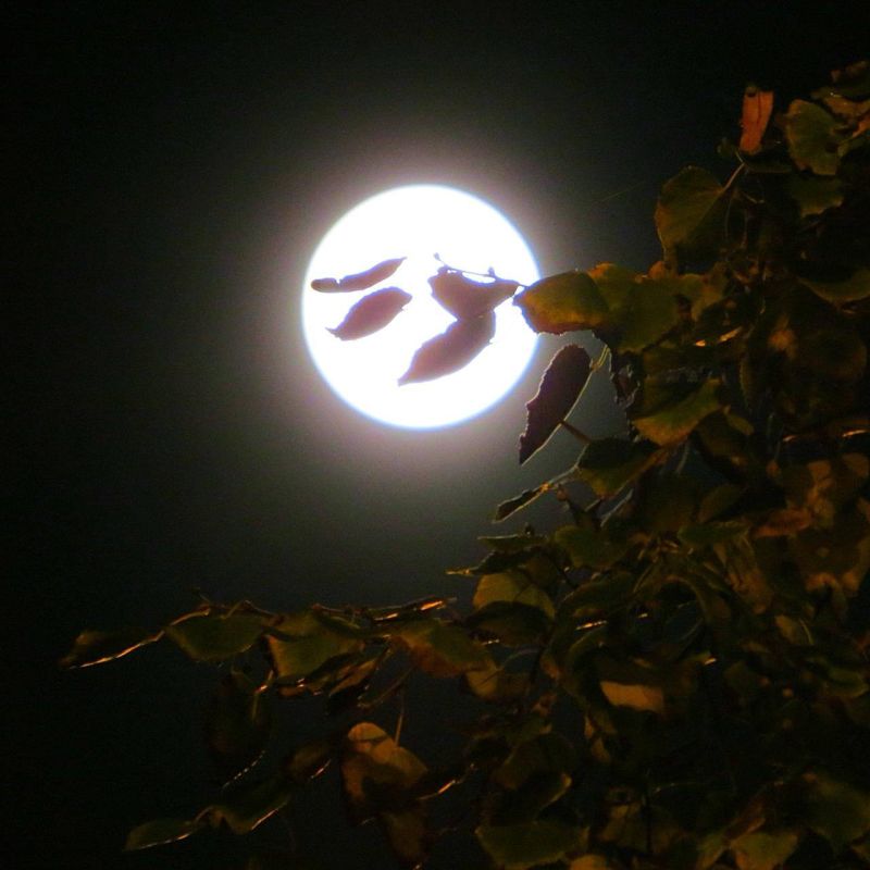 �������� ������� ����� ���� ������������� � ������ ������ �������� ����� ��������� ������� ����� � �����