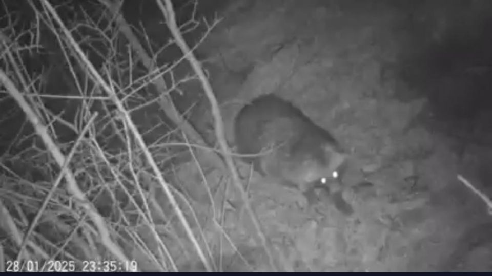 �� ���������� ����������� ��������� � ����������� ����� ����