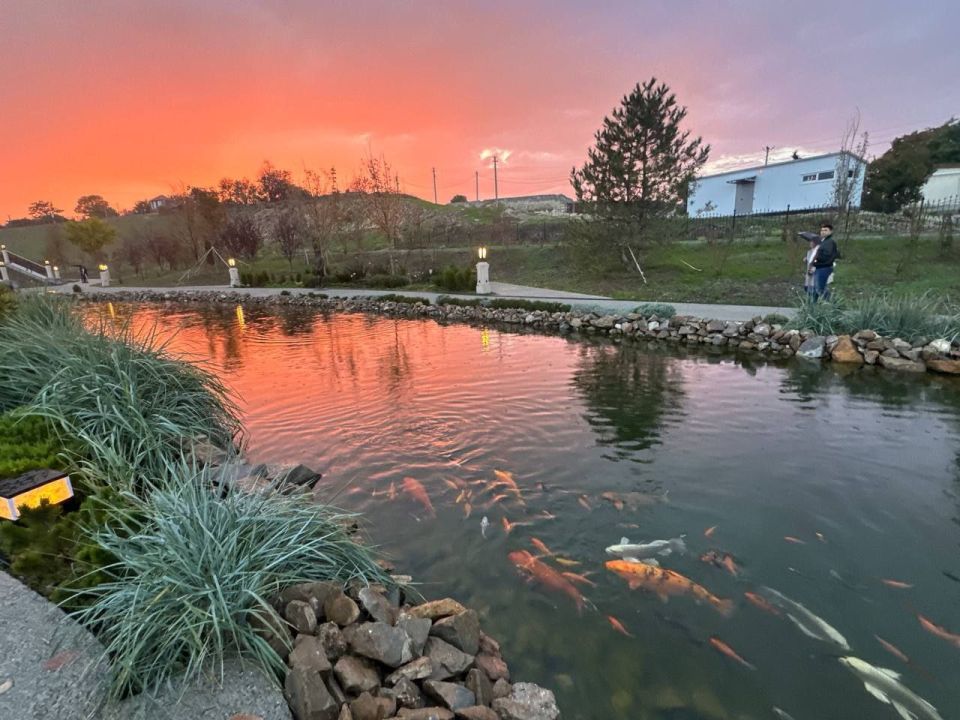 ����������� ������� ����� ����������� ��� ������������� ���� �������