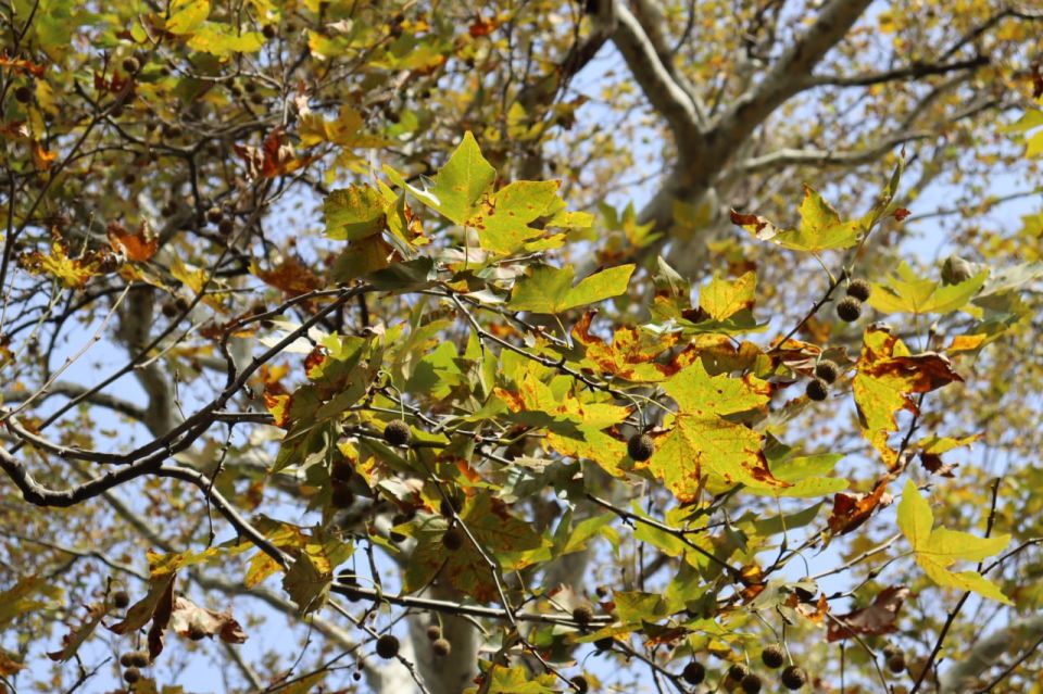 Прогноз погоды в Крыму на 8 октября