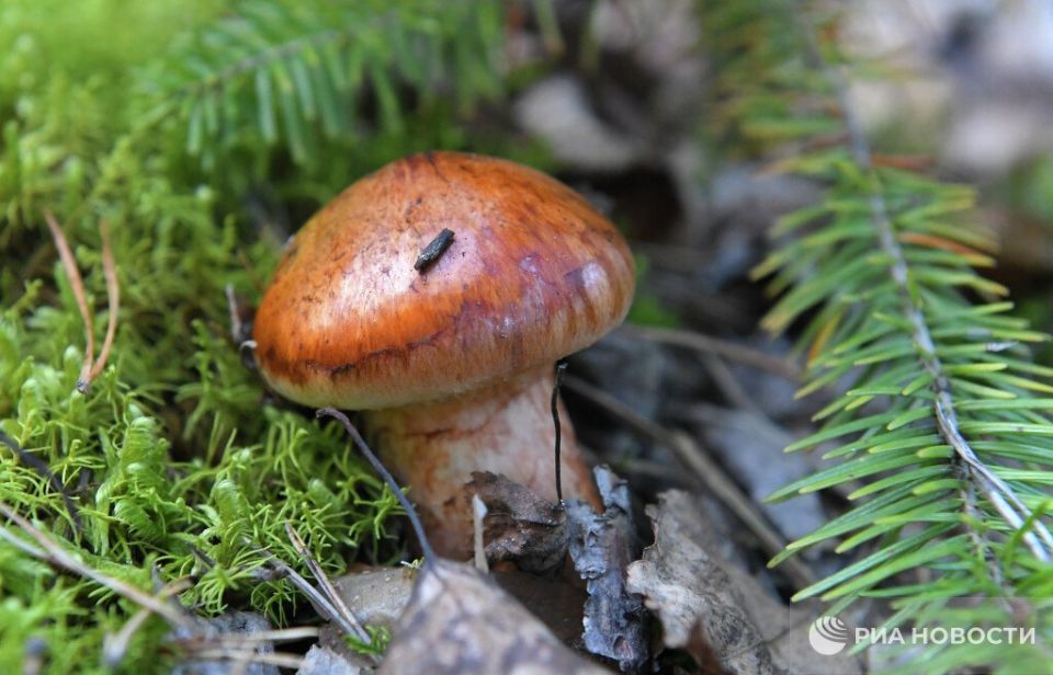 Прогноз погоды в Крыму на среду